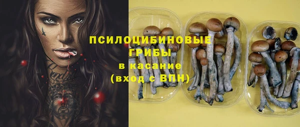 прущие крисы Арсеньев