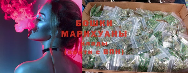 прущие крисы Арсеньев