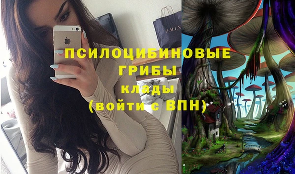 прущие крисы Арсеньев